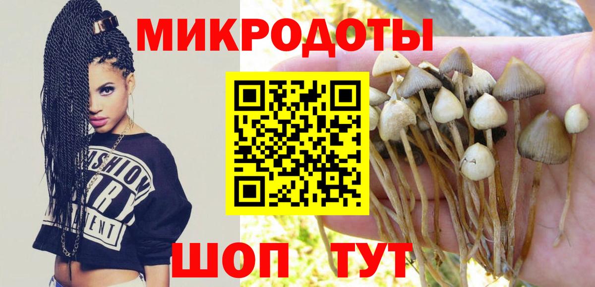Куйбышев  Псилоцибиновые грибы прущие грибы  Вход с VPN  Галлюциногенные грибы ЛСД 