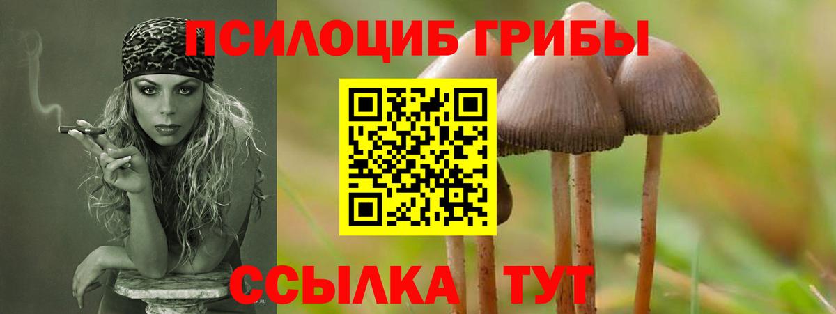 Галлюциногенные грибы GOLDEN TEACHER Куйбышев
